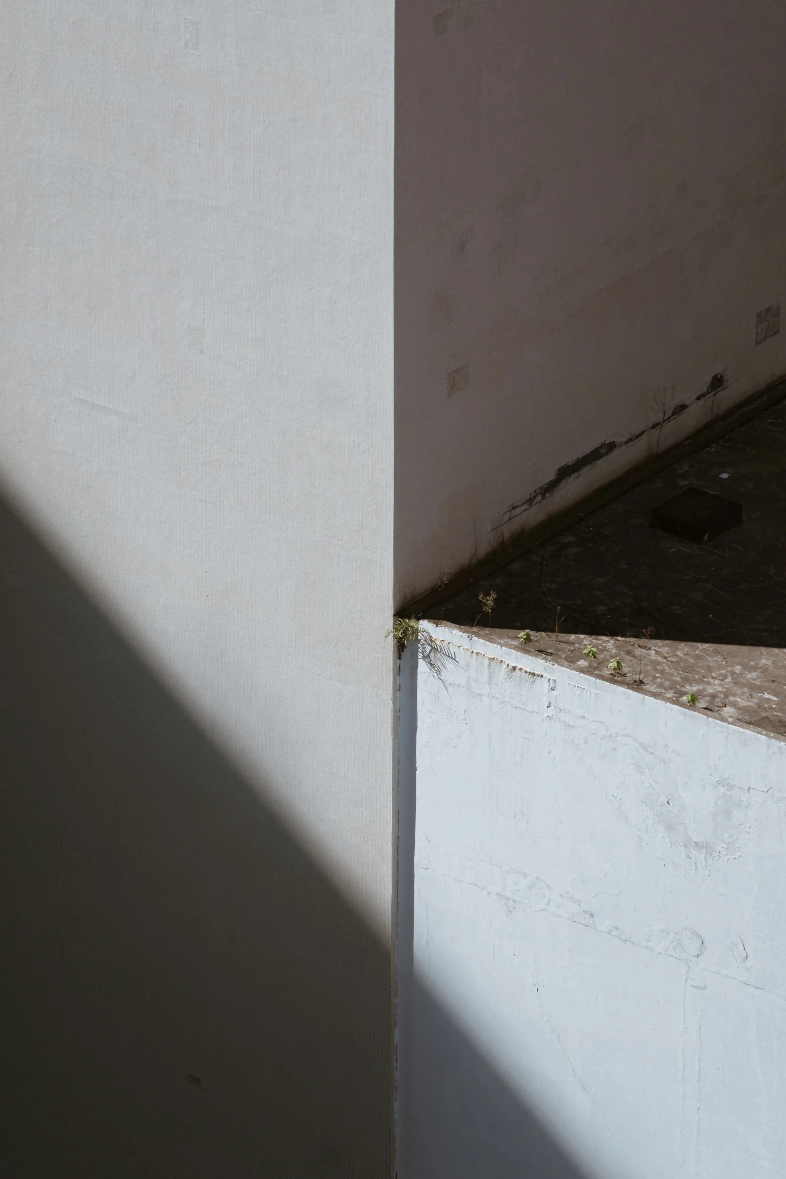 the shadow of a bird on a concrete pillar