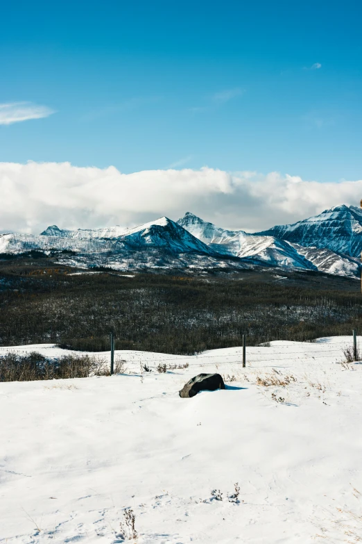 a road sign is surrounded by snow and snowy mountains