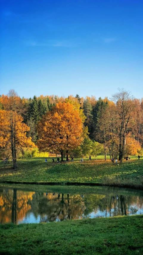 a pond with trees surrounding and reflecting in it