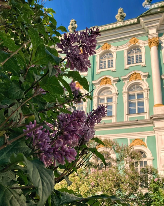 the building has many windows and lilacs in front