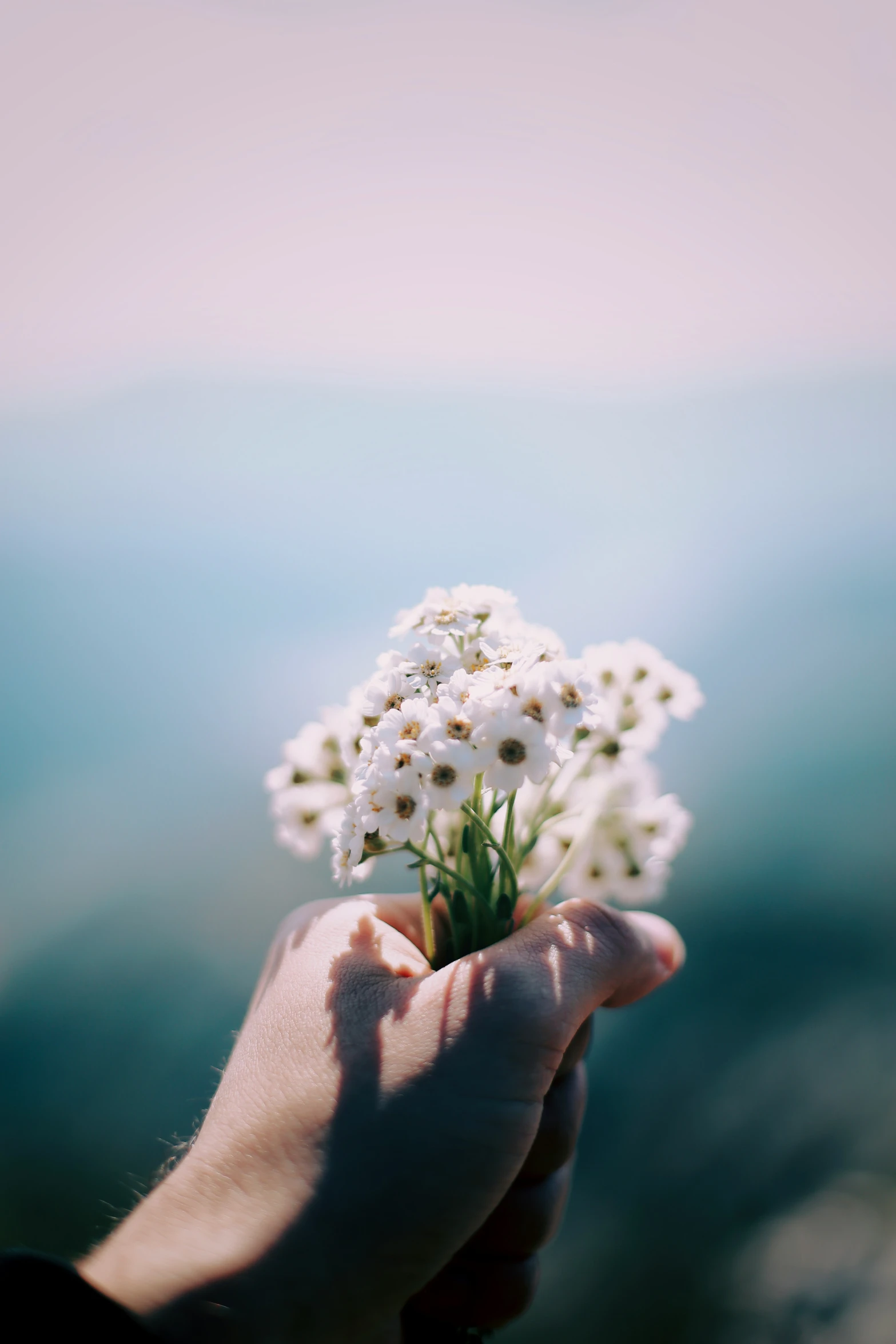 the hand is holding some flowers against the blue sky