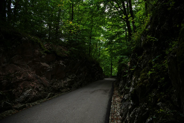 an asphalt path in a forest next to a stone wall