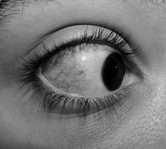 the bottom section of a persons eye, showing the eye area and the center part of the eye