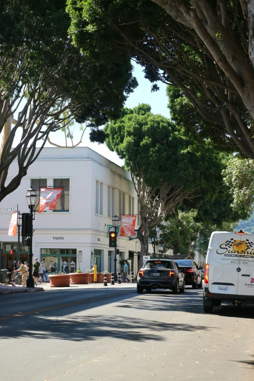 street filled with cars and large trees on the side of road