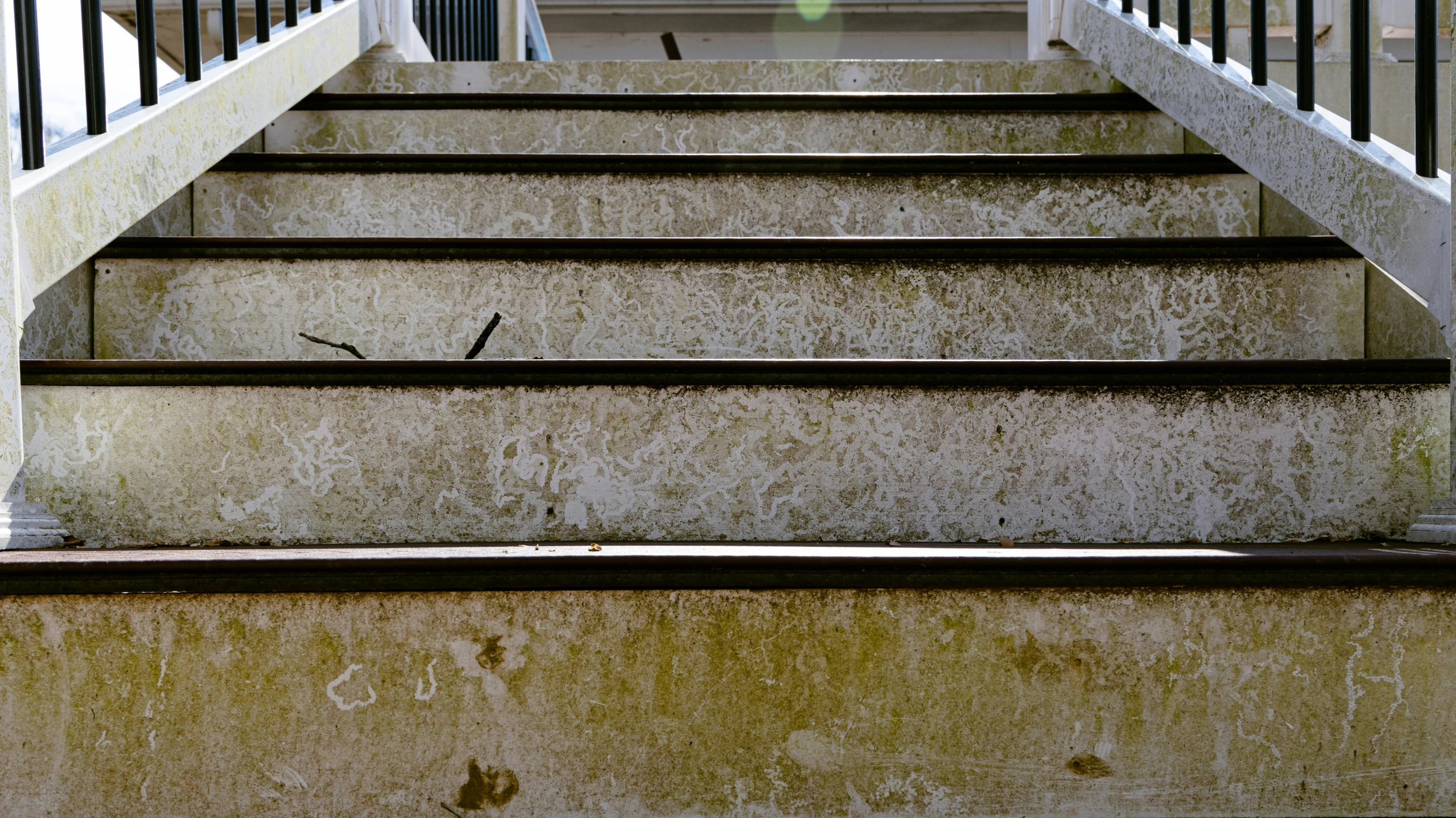 concrete stairs with white railing and black hand rails