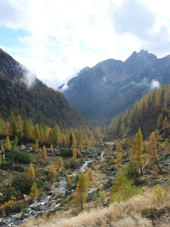 a mountain valley with small creek flowing between it