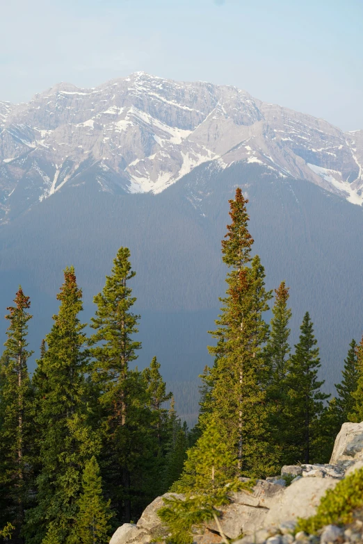 the mountain range is in view from a distance