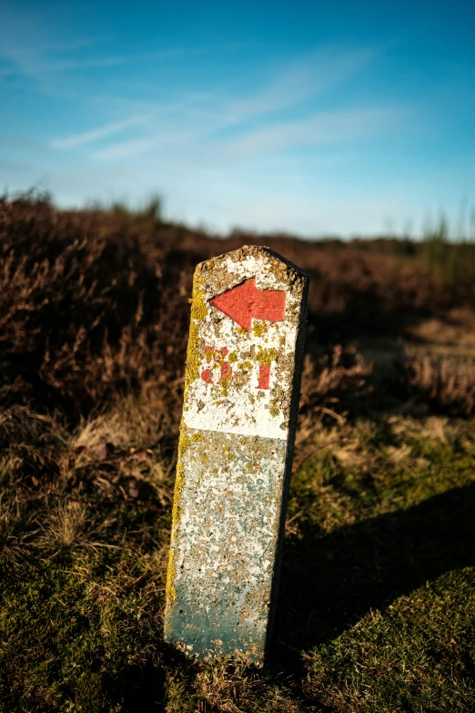 an old sign is left in the grass