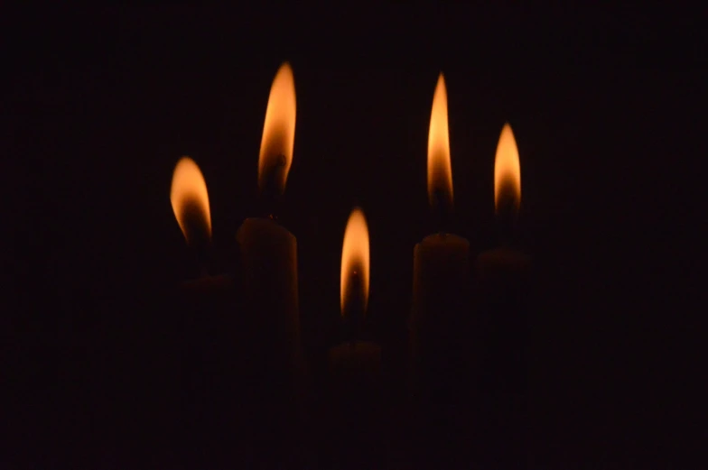 a group of matchsticks on the dark ground