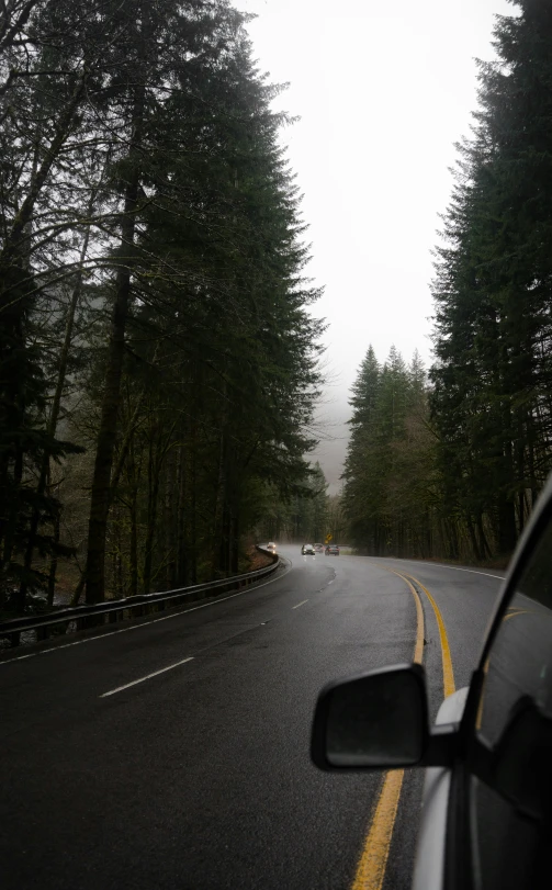 car is driving on the road by some trees