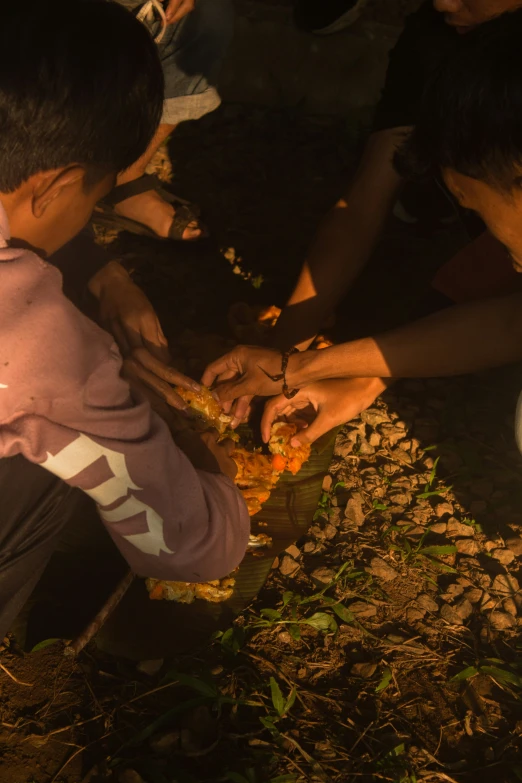 boys with hands on and others picking mushrooms from their plates