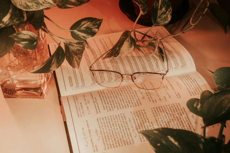 reading glasses sitting on top of an open book