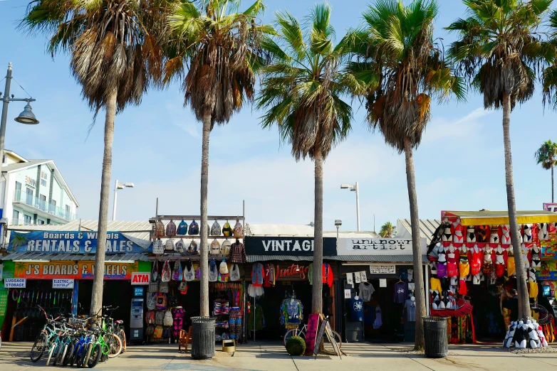 a bunch of palm trees with some clothes for sale