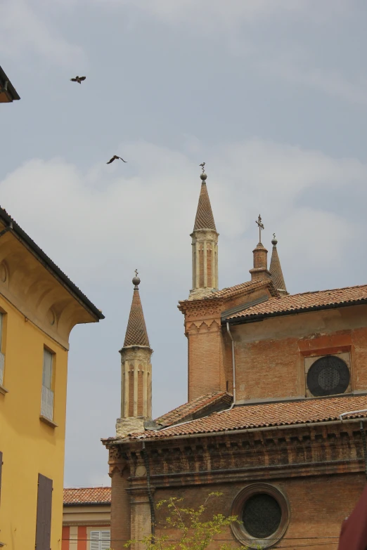 birds fly near an old cathedral in the city