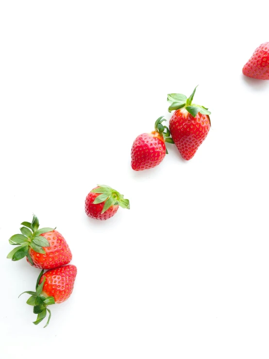 strawberries line up on a white background with green stems