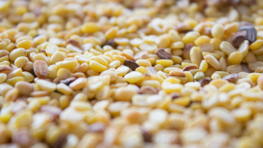 closeup po of food that includes corn and seeds