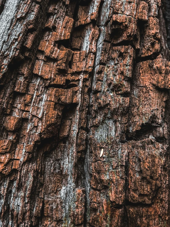 close up image of wooden surface with many s