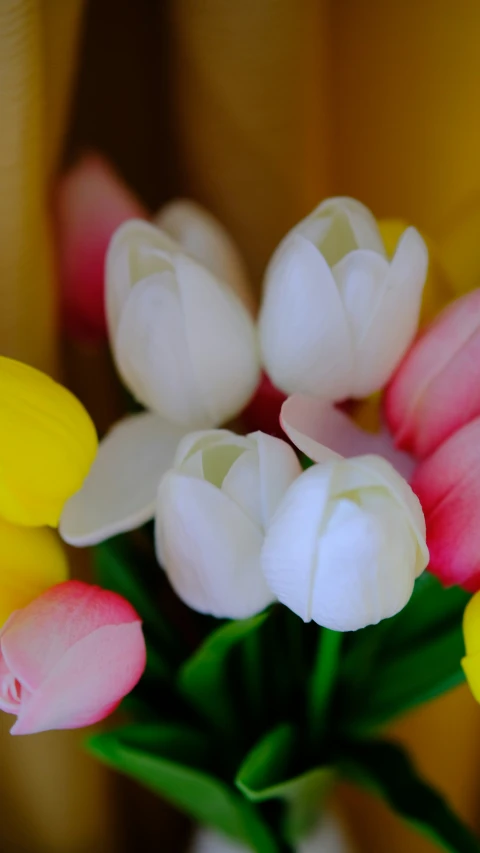 a yellow and pink bouquet with white and pink tulips