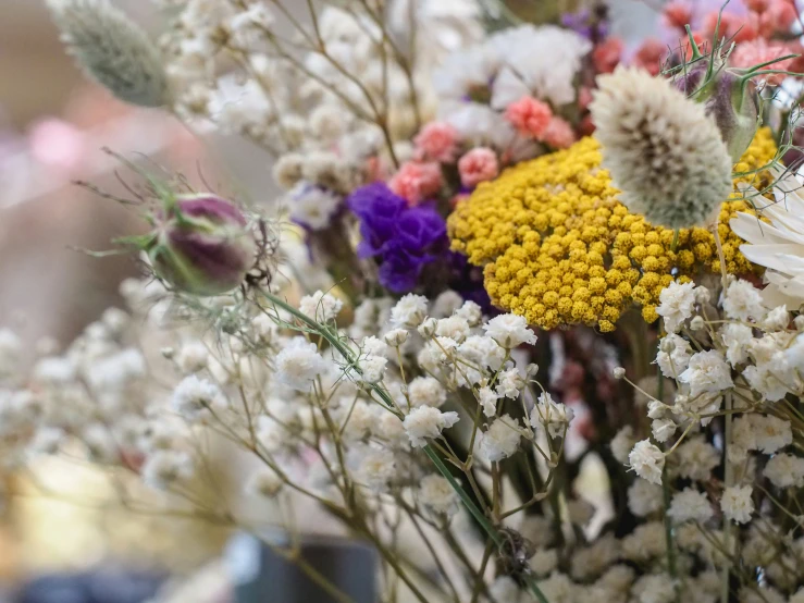 colorful flowers in the vase are blooming