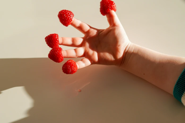 a hand reaches for raspberries on a table