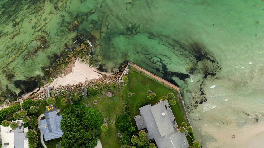 an aerial view of a beach area with green algae