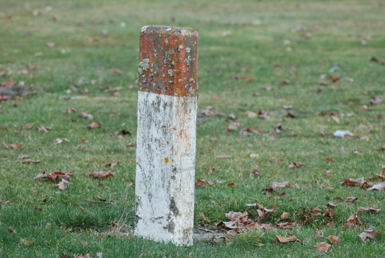 a rusted out pole near grass with lots of leaves