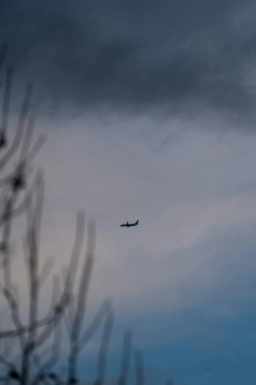 an airplane is flying through the sky with some trees