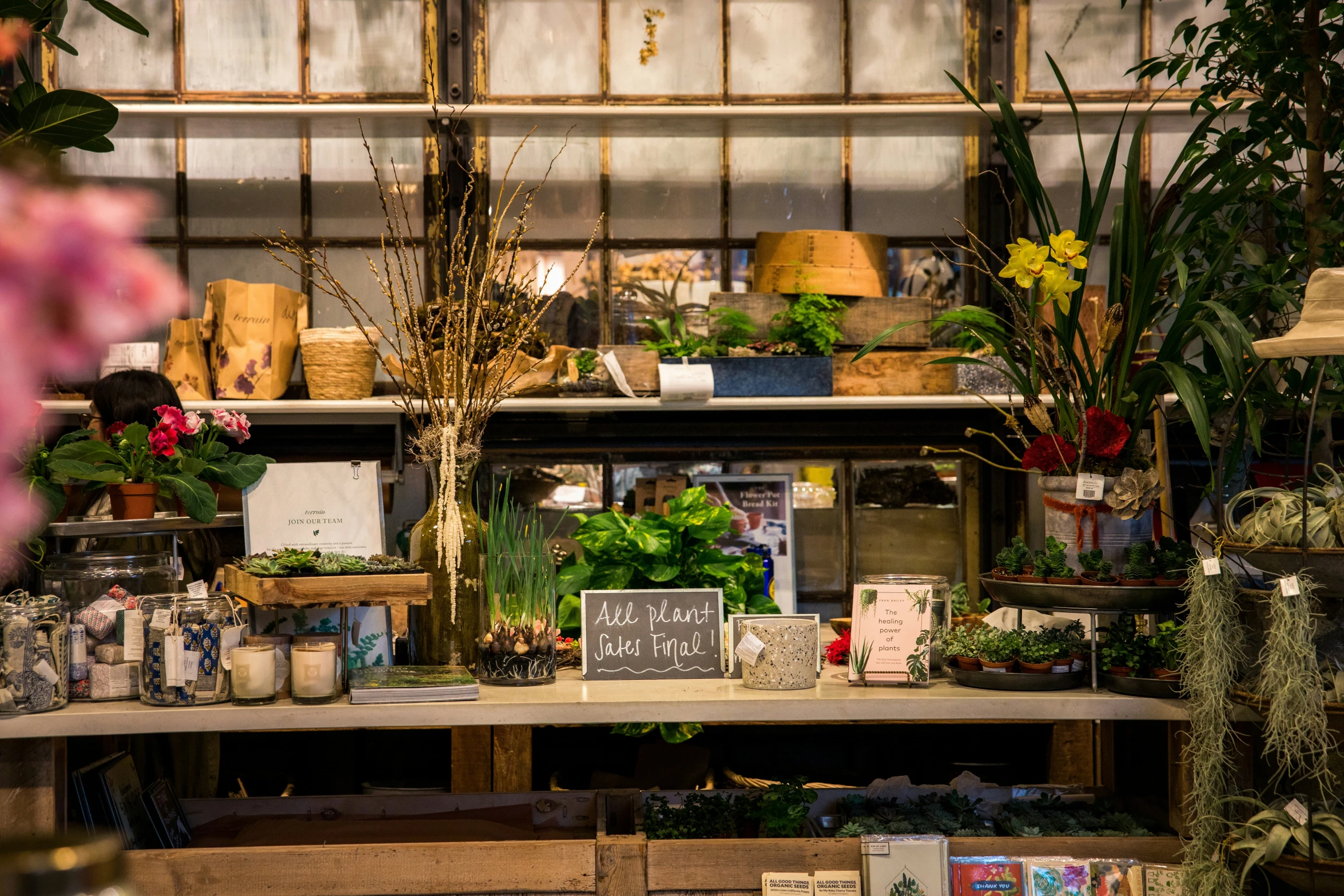 various plants sit together in front of shelves with greeting cards