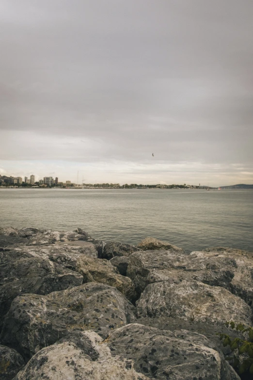 the ocean and rock covered shoreline is near a city