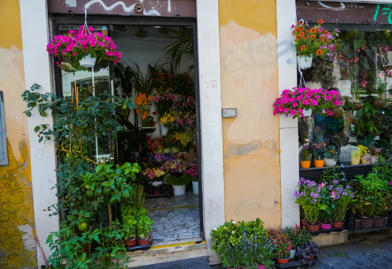 an open door store with flowers and plants in front