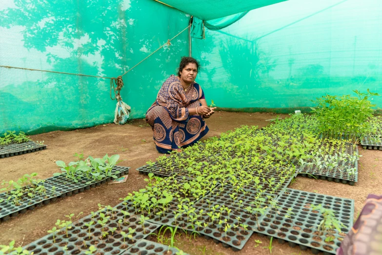 a woman kneeling down in front of some plants