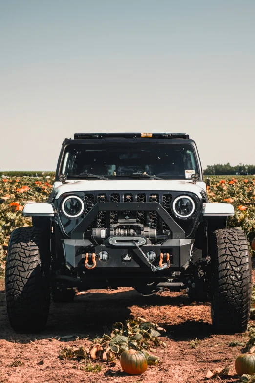 the jeep is parked in a flowery field