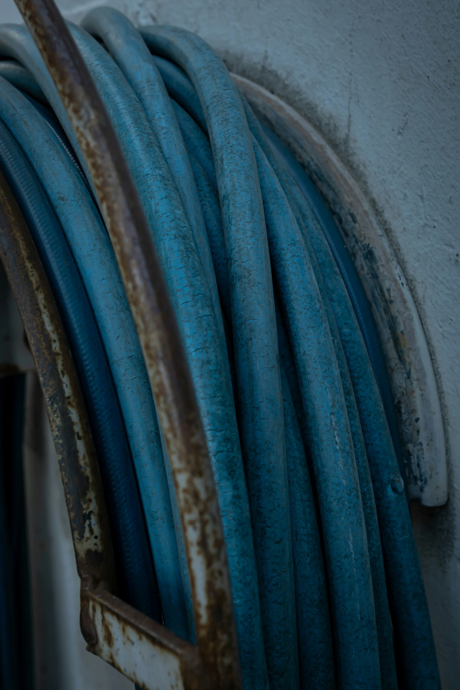 a bunch of blue hoses next to a wall