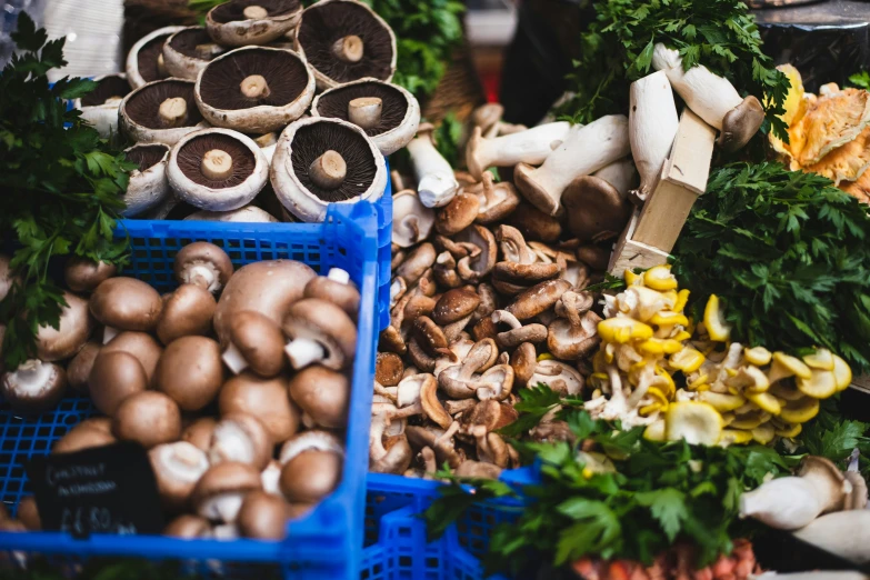 various types of mushrooms displayed in crates and baskets