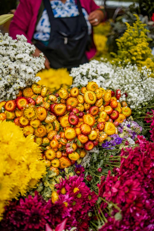 several colorful and ornate flowers are displayed for sale