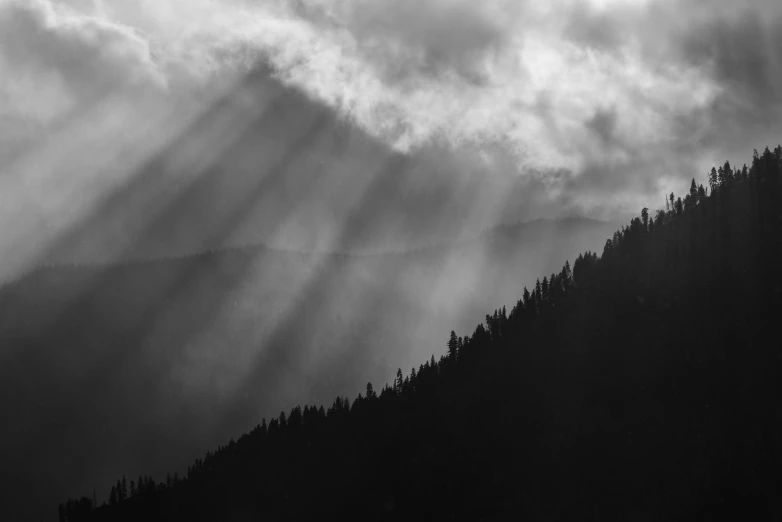 a black and white po of trees under cloudy skies