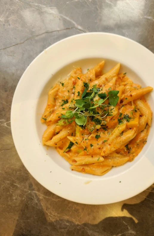 the pasta is garnished with herbs and parsley on top