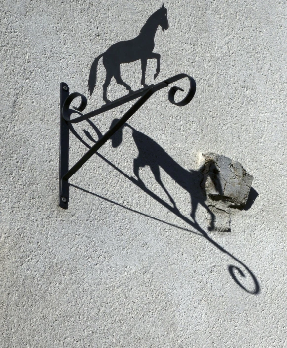 horse shadow cast onto a concrete surface, a rock on the ground