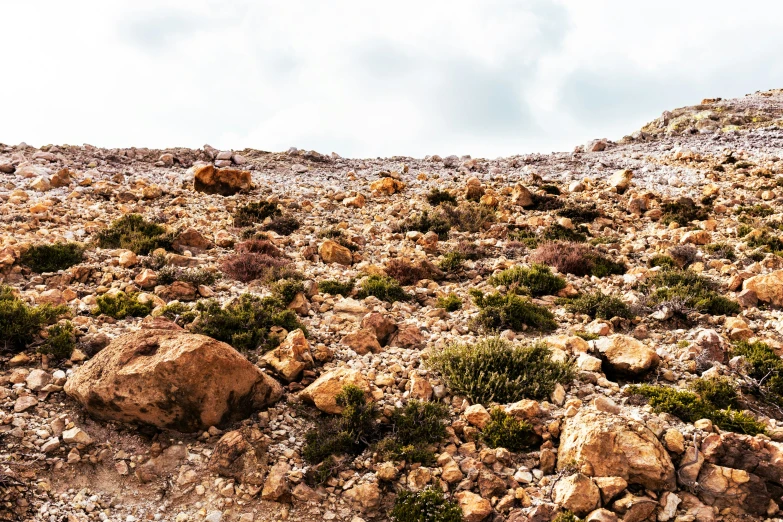 a large rocky area with rocks and green plants