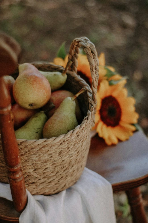 a brown basket sitting next to a flower in a field