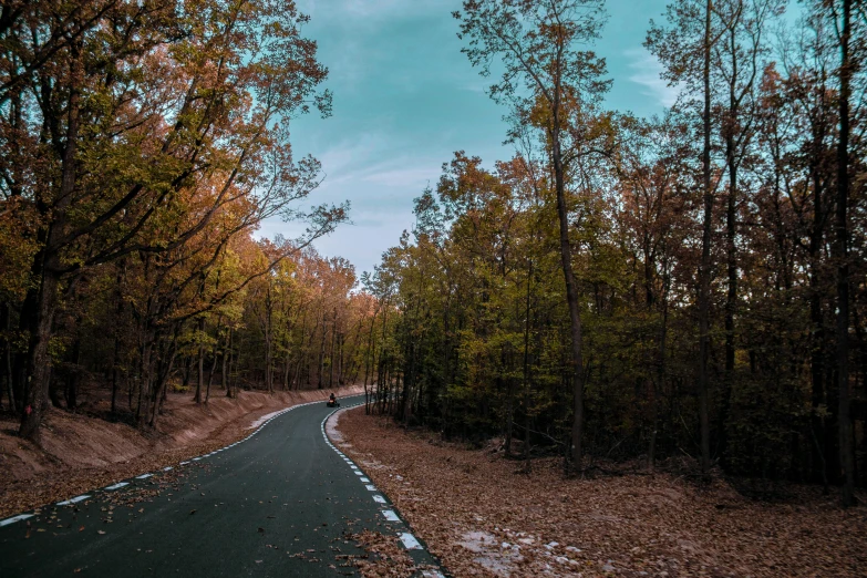 the road has fallen in to the wooded area