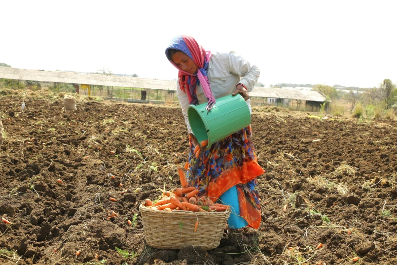 a woman stands in a field with a basket full of carrots
