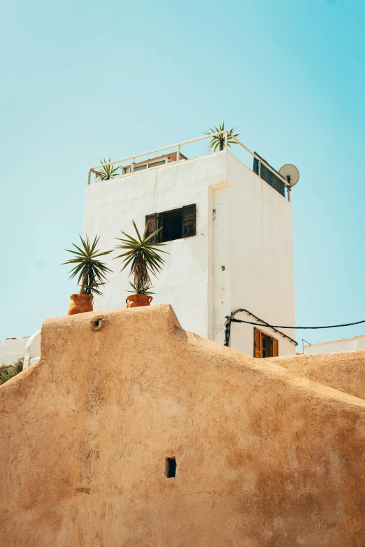 an adobe house with small tree growing out of its roof