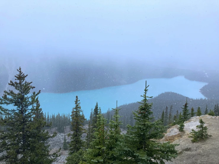 a scenic blue lake surrounded by evergreen trees