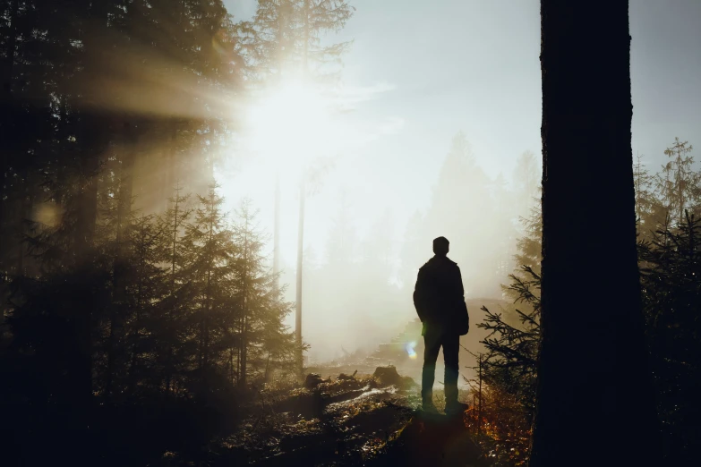 a person standing near a forest in the fog