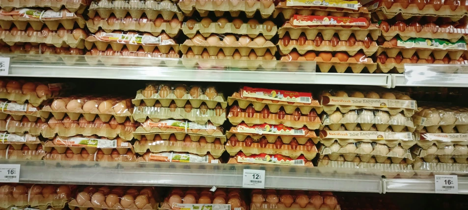 a bunch of eggs on display in a store