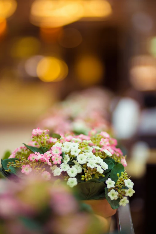 the beautiful flowers are placed on the display