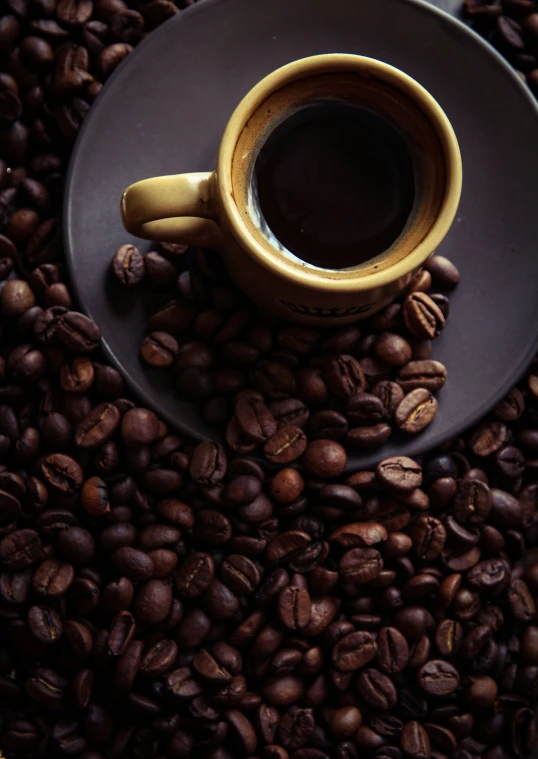 coffee mug on brown saucer surrounded by beans