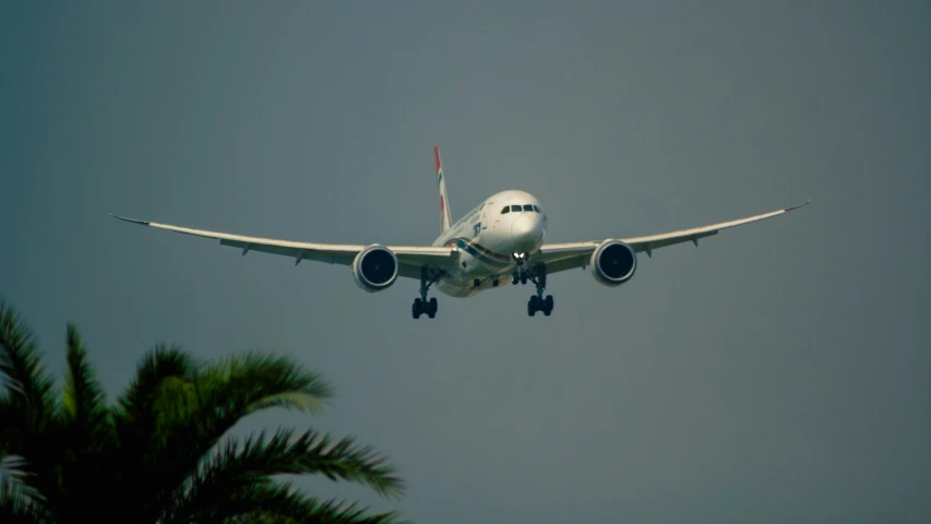 an airplane in the air while it flies