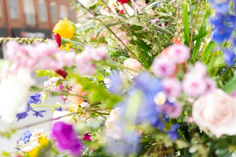 several flowers in bloom outside a building